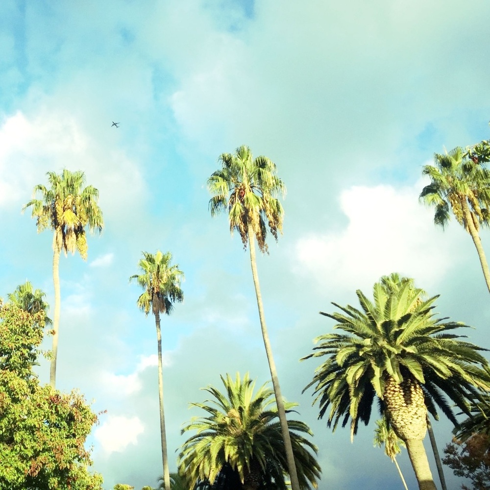 Meet your Posher, Alexandra